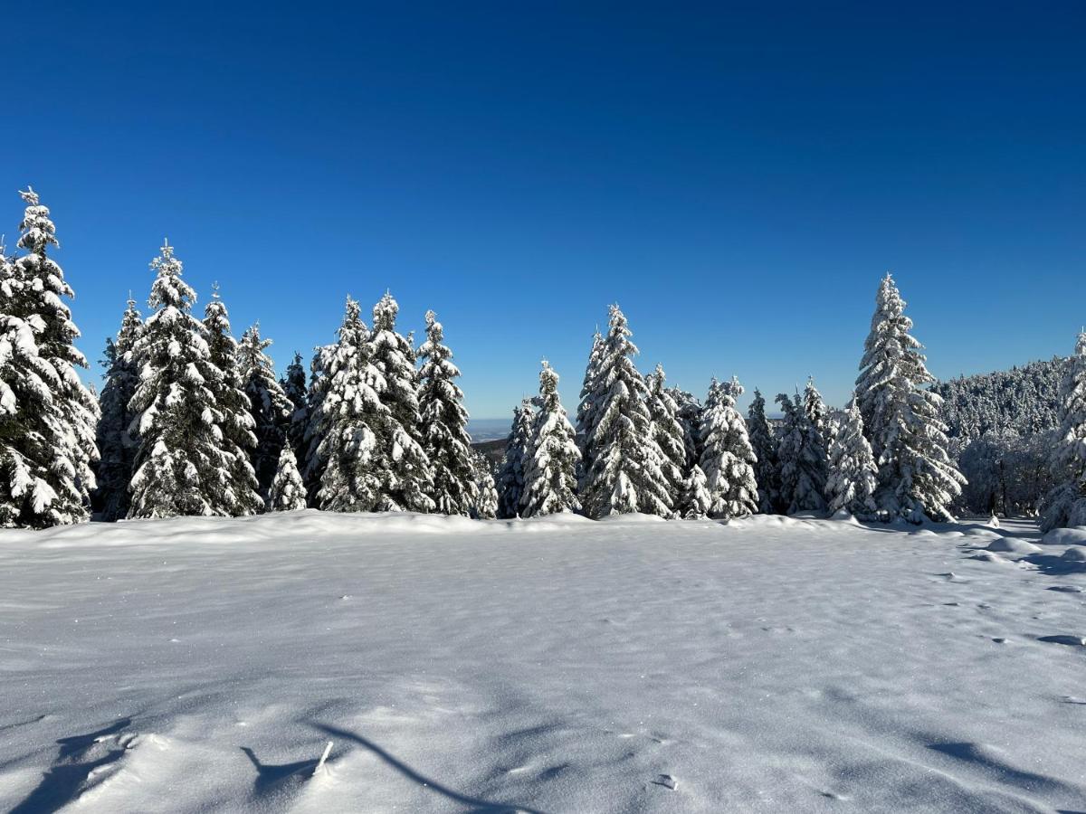 Woodyou - Izerski Resort Świeradów-Zdrój エクステリア 写真