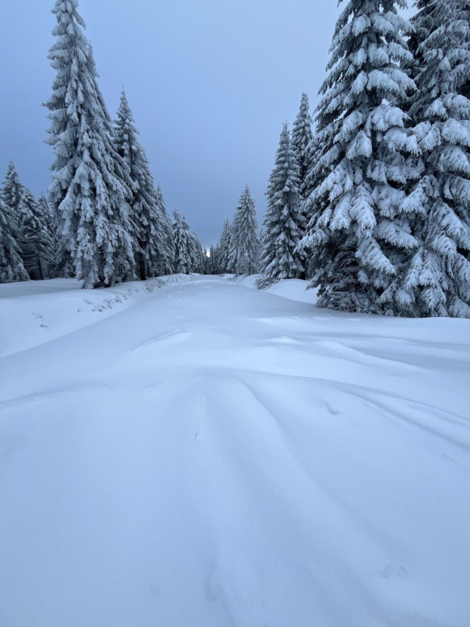 Woodyou - Izerski Resort Świeradów-Zdrój エクステリア 写真